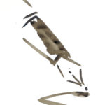 Cérémonie Jets d'Encre
